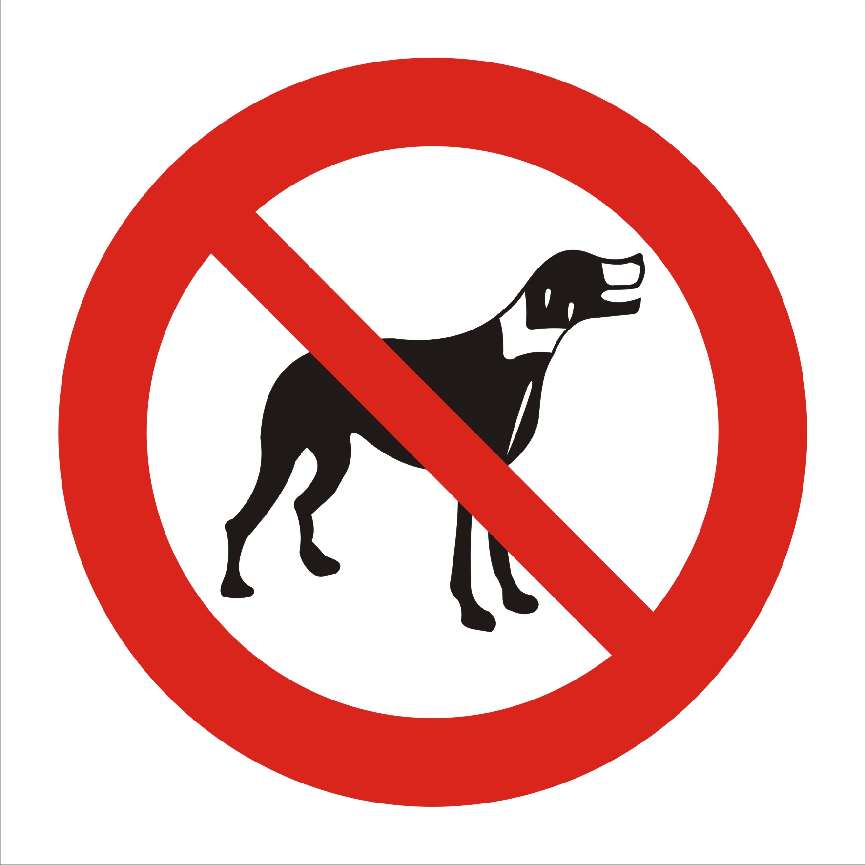 Ver Imagem Ver Imagem